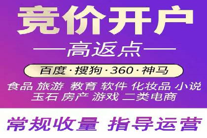 案例解析：揭秘高效竞价推广技巧